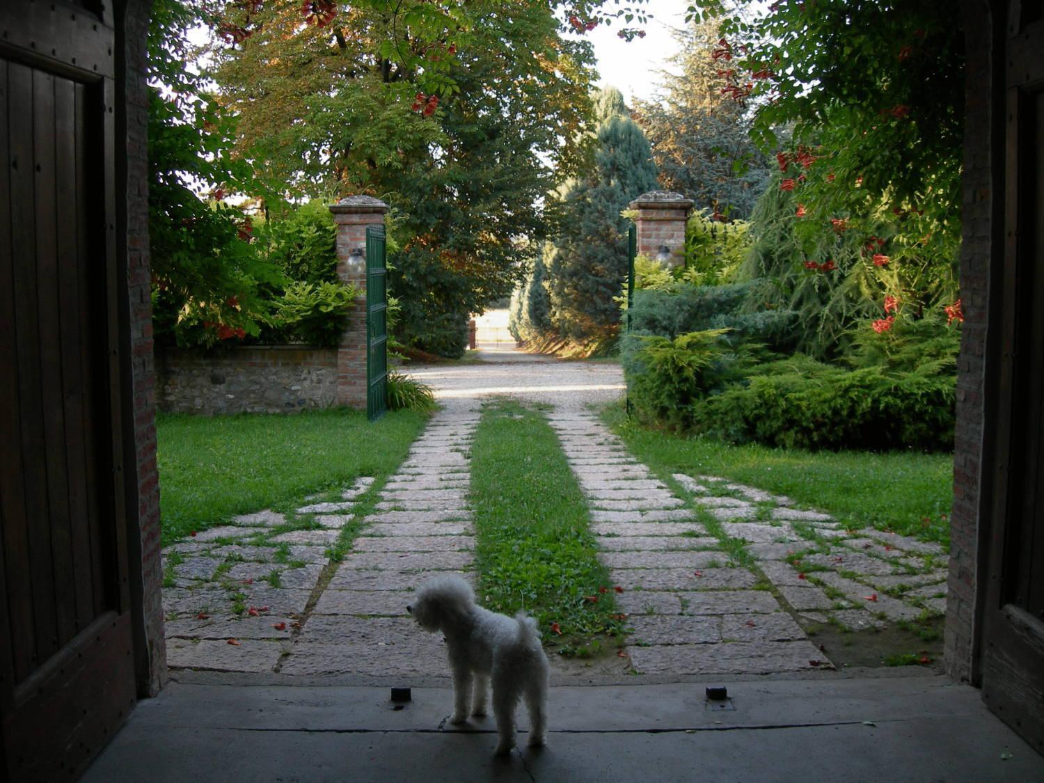 Tenuta Terensano Guest House Monleale Exterior photo