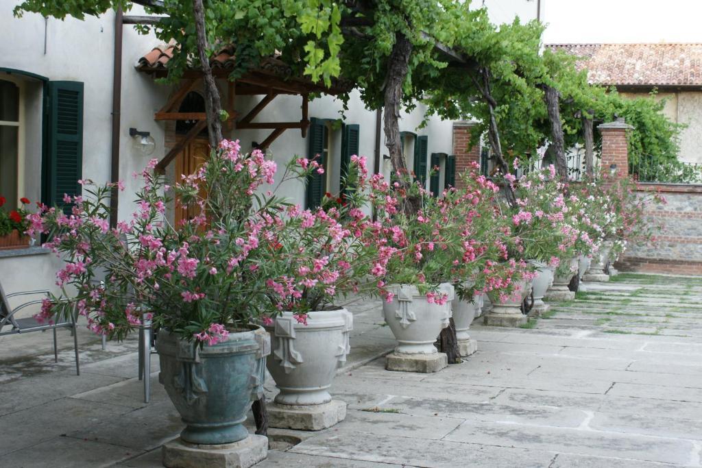 Tenuta Terensano Guest House Monleale Exterior photo