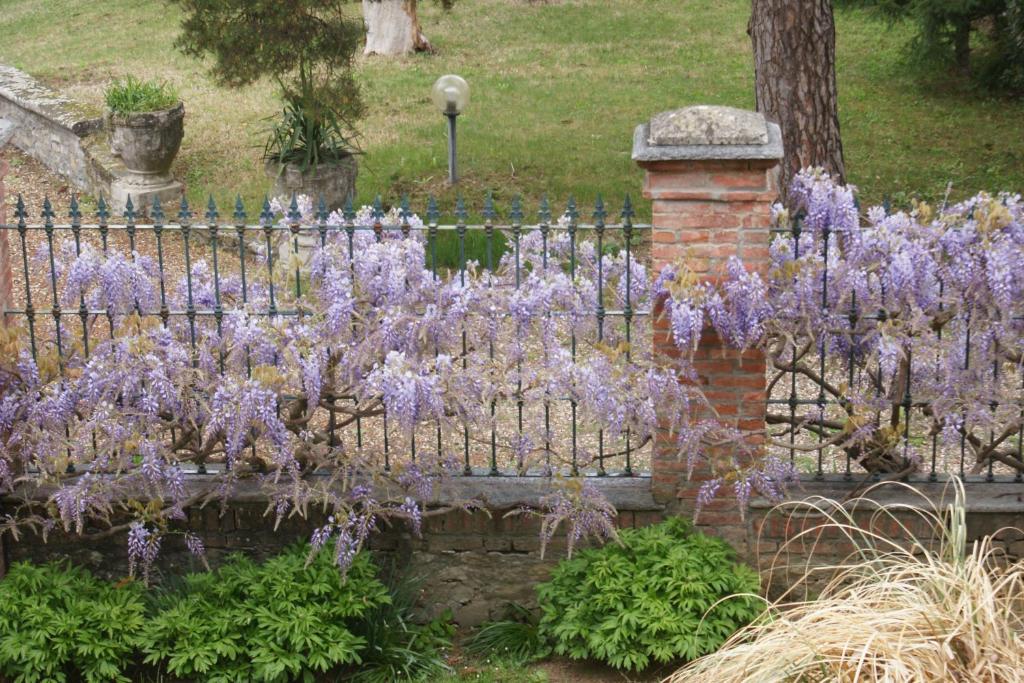 Tenuta Terensano Guest House Monleale Exterior photo